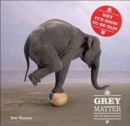 Grey Matter : Why it's Good to be Old! - Book