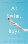 At Swim, Two Boys - Book