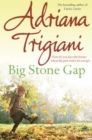 Big Stone Gap - Book