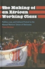 The Making of an African Working Class : Politics, Law, and Cultural Protest in the Manual Workers' Union of Botswana - Book