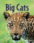 Big Cats - Book