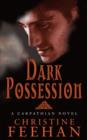 Dark Possession : Number 18 in series - eBook