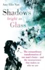 Shadows Bright as Glass : The Extraordinary Transformation of One Man's Brain - and the Neuroscience that Makes Us Who We Are - eBook