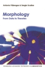 Morphology : From Data to Theories - Book