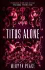 Titus Alone - Book
