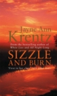 Sizzle And Burn : Number 3 in series - Book