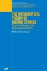 The Mathematical Theory of Cosmic Strings : Cosmic Strings in the Wire Approximation - Book