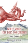 North Wales Folk Tales for Children - Book