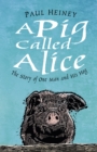 A Pig Called Alice : The Story of One Man and His Hog - Book