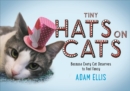 Tiny Hats on Cats - Book