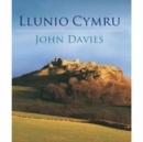 The Making of Wales (Welsh Edition) - Book