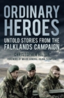 Ordinary Heroes : Untold Stories from the Falklands Campaign - Book