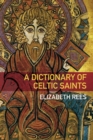 A Dictionary of Celtic Saints - Book