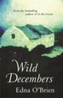 Wild Decembers - Book