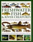 Illustrated World Encyclopedia of Freshwater Fish and River Creatures - Book