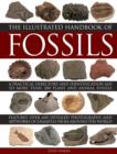 Illustrated Handbook of Fossils - Book