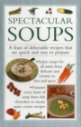 Spectacular Soups - Book