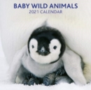 2021 Calendar: Baby Wild Animals - Book