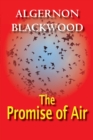 The Promise Of Air - eBook