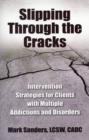 Slipping Through the Cracks : Intervention Strategies for Clients with Multiple Addictions and Disorders - Book