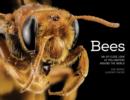 Bees : An Up-Close Look at Pollinators Around the World - Book