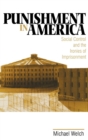 Punishment in America : Social Control and the Ironies of Imprisonment - Book