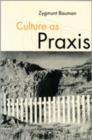 Culture as Praxis - Book