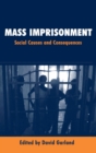Mass Imprisonment : Social Causes and Consequences - Book