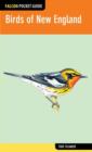 Birds of New England - Book