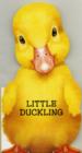 Little Duckling - Book
