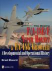 The Boeing F/A-18E/F Super Hornet & EA-18G Growler : A Developmental and Operational History - Book