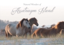 Natural Wonders of Assateague Island - Book