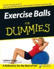Exercise Balls For Dummies - Book