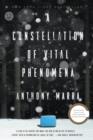 Constellation of Vital Phenomena - eBook