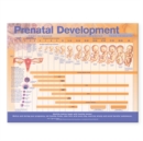 Prenatal Development Anatomical Chart - Book