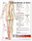 Understanding Pain Anatomical Chart in Spanish - Book