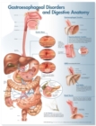 Gastroesophageal Disorders and Digestive Anatomy Chart - Book