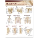 Lippincott Williams & Wilkins Atlas of Anatomy Skeletal System Chart: Head and Trunk - Book