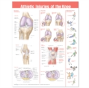 Athletic Injuries of the Knee Anatomical Chart - Book