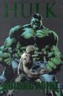 Hulk: Boiling Point - Book