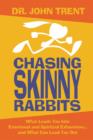Chasing Skinny Rabbits : What Leads You Into Emotional and Spiritual Exhaustion...and What Can Lead You Out - Book