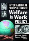 International Perspectives on Welfare to Work Policy - Book