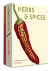 Herbs and Spices Detailed Notecard Set : Detailed Notes - Book