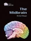 The Midbrain - Book