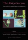 The Rhizobiaceae : Molecular Biology of Model Plant-Associated Bacteria - Book