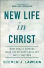 New Life in Christ : What Really Happens When You're Born Again and Why It Matters - Book