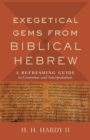 Exegetical Gems from Biblical Hebrew : A Refreshing Guide to Grammar and Interpretation - Book