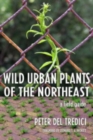 Wild Urban Plants of the Northeast : A Field Guide - Book