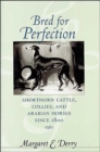 Bred for Perfection : Shorthorn Cattle, Collies, and Arabian Horses since 1800 - Book