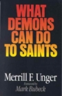 What Demons Can Do to Saints - Book